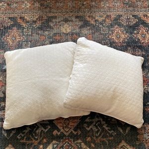 Set of 2 Envogue Pillows - 24X24
